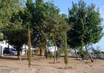 PARQUE EN LAS ZORRERAS, SU INICIO.