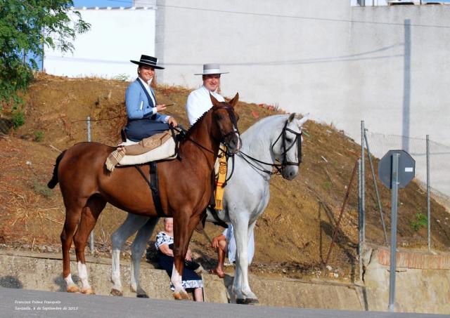 Santaella. 2015 (19)