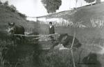 NORIAS