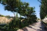 PARQUE