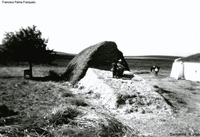 102