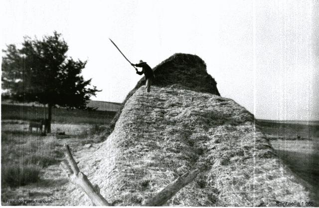 103