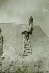 116