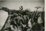 110